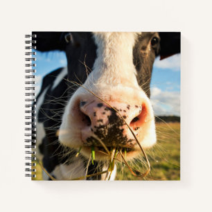 Carnet Fermes Vache Holstein Chewing