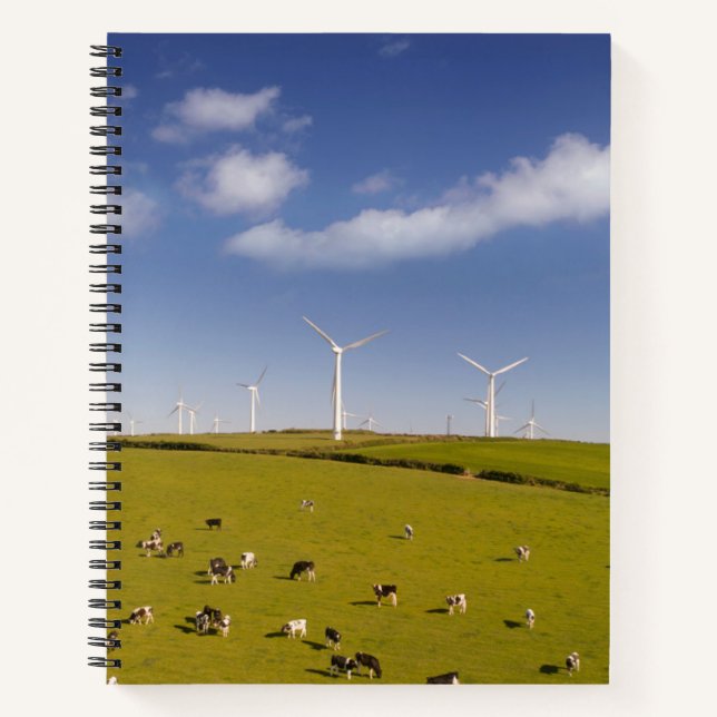 Carnet Fermes | Vaches près de la ferme de moulin à vent (Devant)