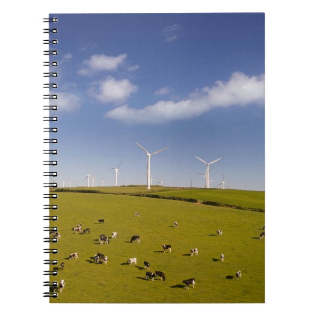 Carnet Fermes | Vaches près de la ferme de moulin à vent (Devant)