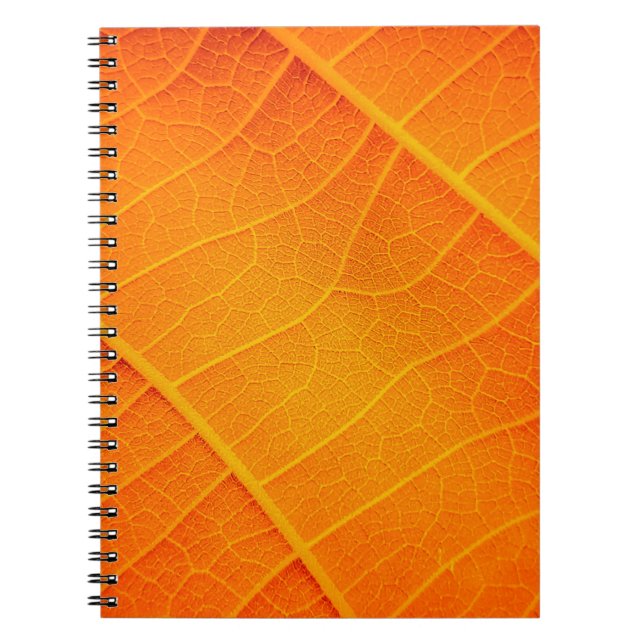 Carnet fermeture Abstraite d'un texte feuille orange et j (Devant)