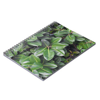 Carnet Fermeture de l'arbre en caoutchouc