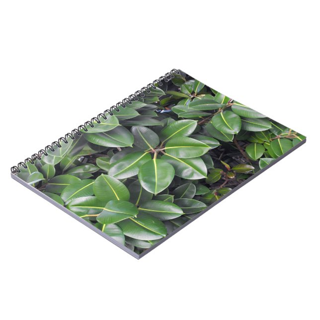 Carnet Fermeture de l'arbre en caoutchouc (Côté gauche)