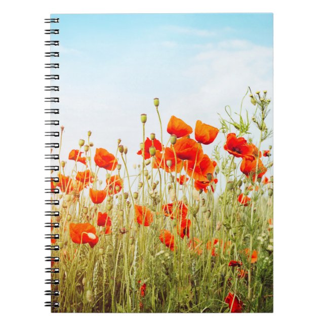 Carnet Fermez les pavots sur le terrain. Fleurs sauvages  (Devant)