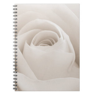 Carnet Fermez-vous des pétales de rose blancs