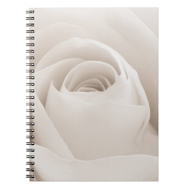 Carnet Fermez-vous des pétales de rose blancs (Devant)