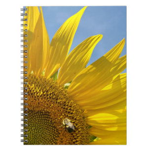 Carnet Festival des tournesols