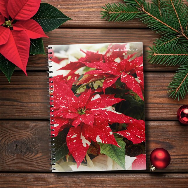 Carnet Festive Rouge Blanc Floral Poinsettia Fleurs (Festive Red and Cream Poinsettias Flowers Journal Cover Photo)