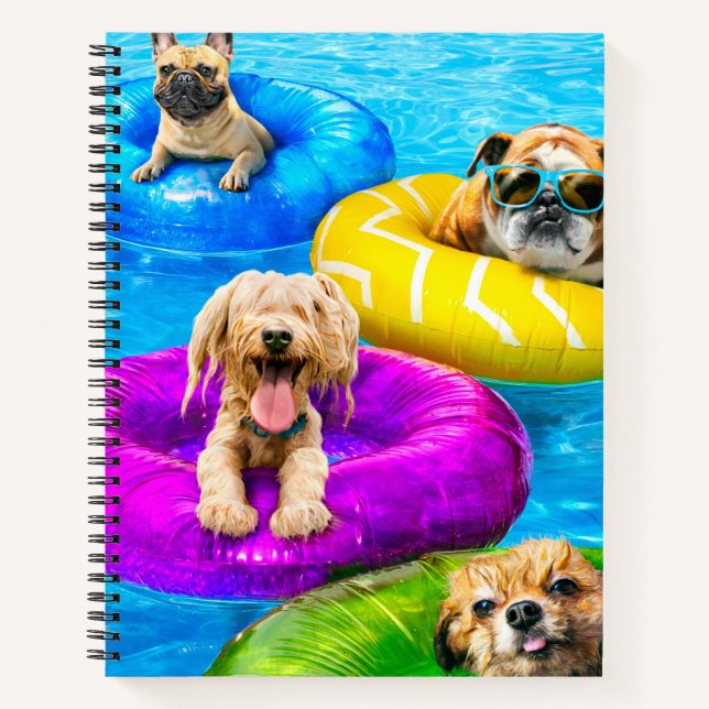 Carnet Fête au bassin pour chiens (Devant)