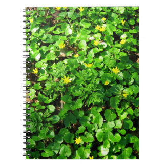 Carnet feuillage vert