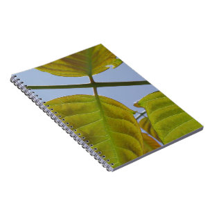 Carnet feuille
