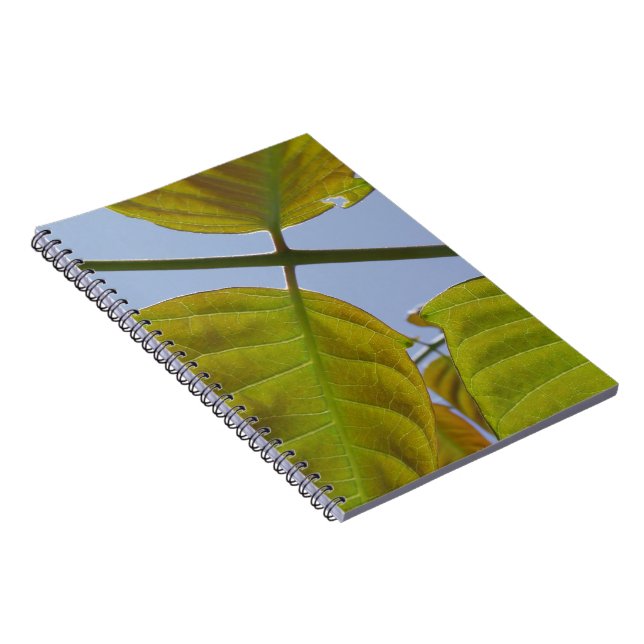 Carnet feuille (Côté Droit)