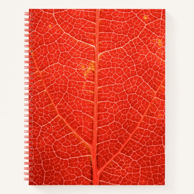 Carnet Feuille automnale (Devant)
