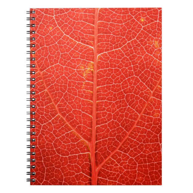 Carnet Feuille automnale (Devant)
