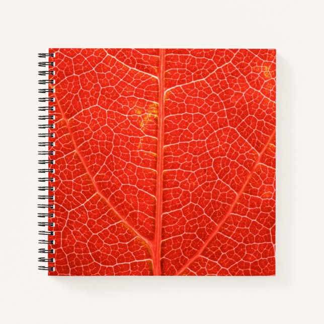 Carnet Feuille automnale (Devant)