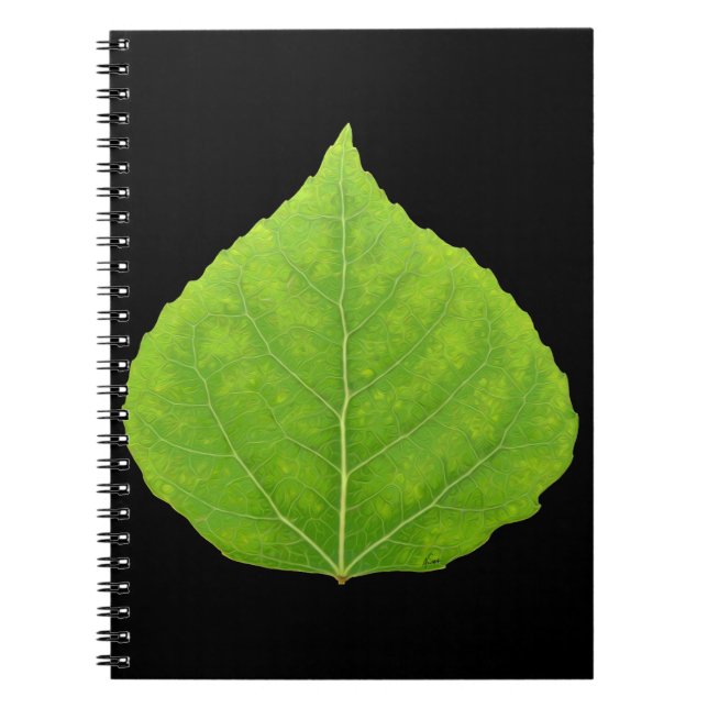 Carnet Feuille d'Aspen vert #11 (Devant)