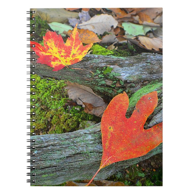Carnet feuille d'automne (Devant)