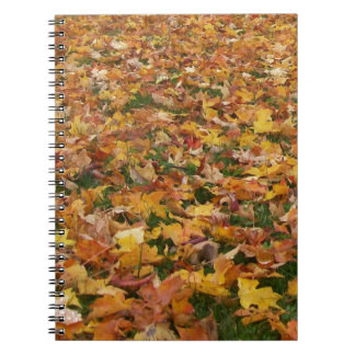 Carnet Feuille d'automne