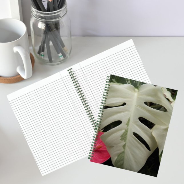 Carnet Feuille de Monstera panachée botanique (In Situ)