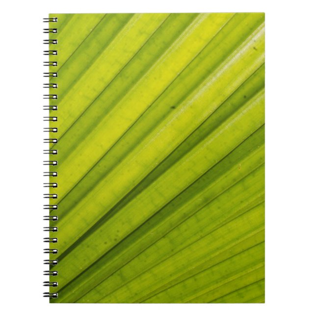 Carnet Feuille de palmier (Devant)