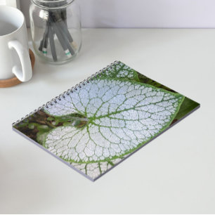 Carnet Feuille de plante Brunnera Macrophylla Florale