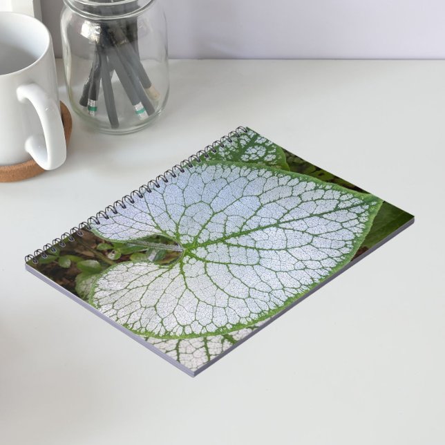 Carnet Feuille de plante Brunnera Macrophylla Florale (In Situ)