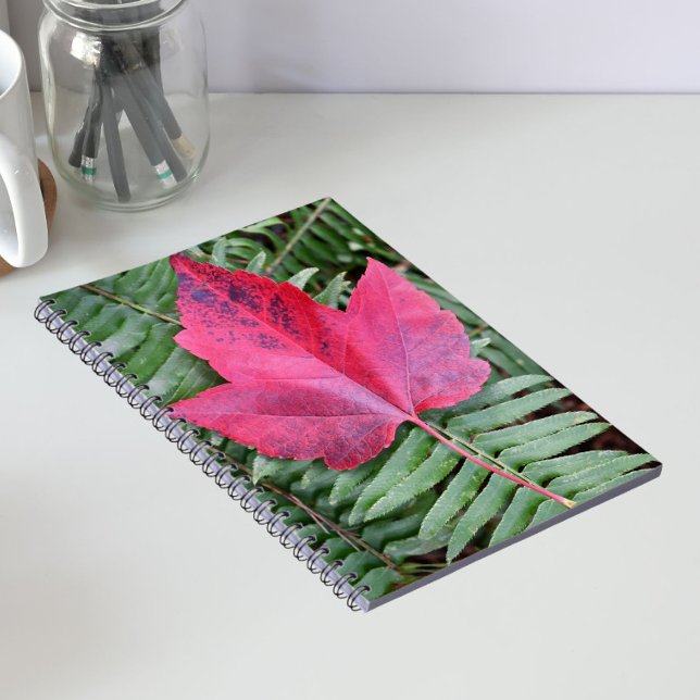 Carnet Feuille d'érable rouge sur Green Fern Botanical (In Situ)