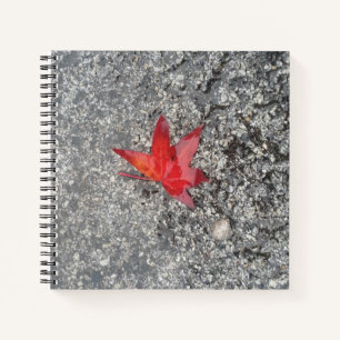 Carnet Feuille rouge de chute sous la pluie sur route gri