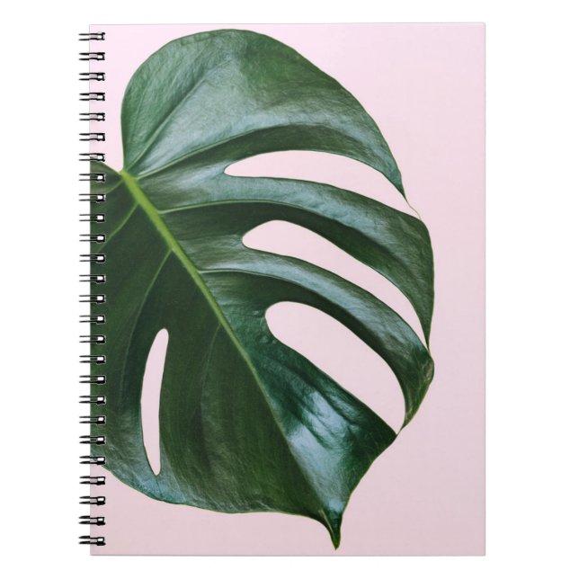 Carnet Feuille tropicale de Monstera (Devant)