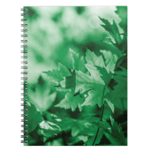 Carnet Feuille vert arrière - plan nature