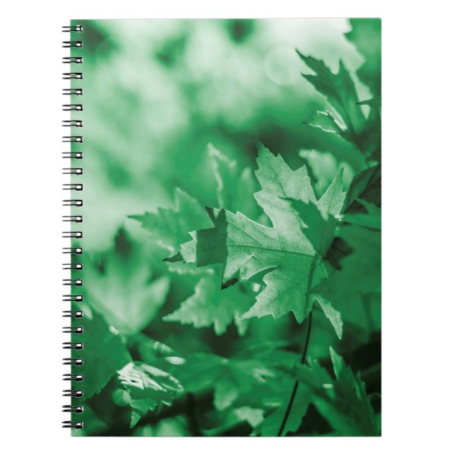 Carnet Feuille vert arrière - plan nature (Devant)