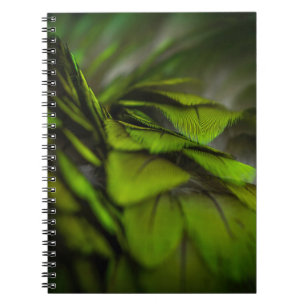 Carnet Feuille verte