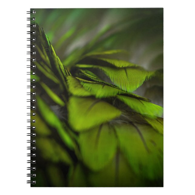Carnet Feuille verte (Devant)