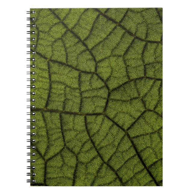 Carnet Feuille verte (Devant)