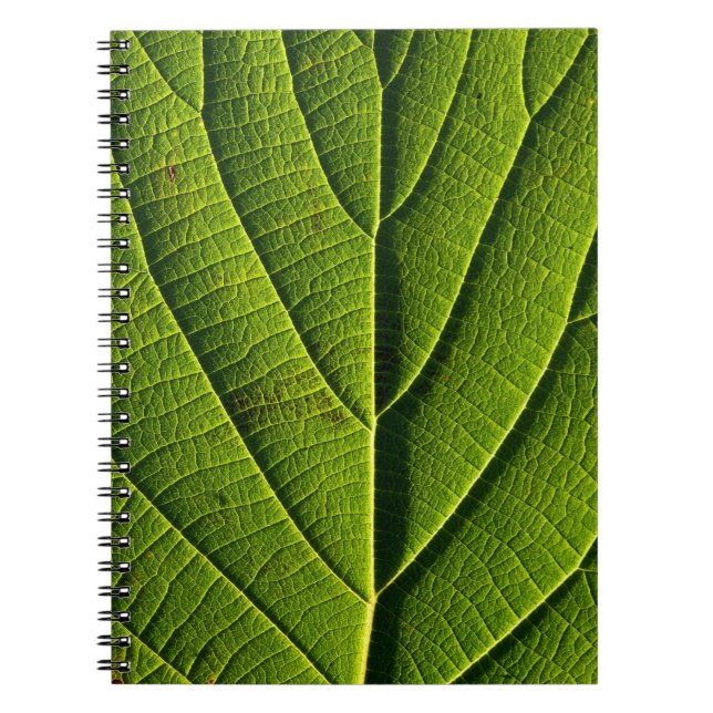 Carnet Feuille verte (Devant)