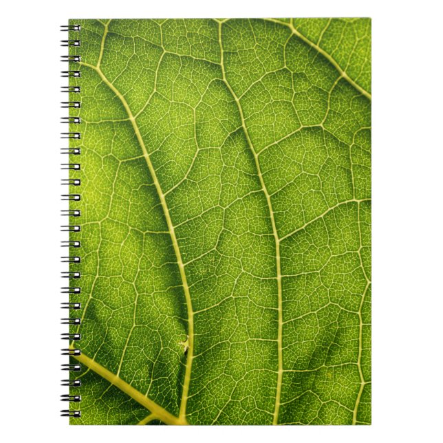 Carnet Feuille verte (Devant)