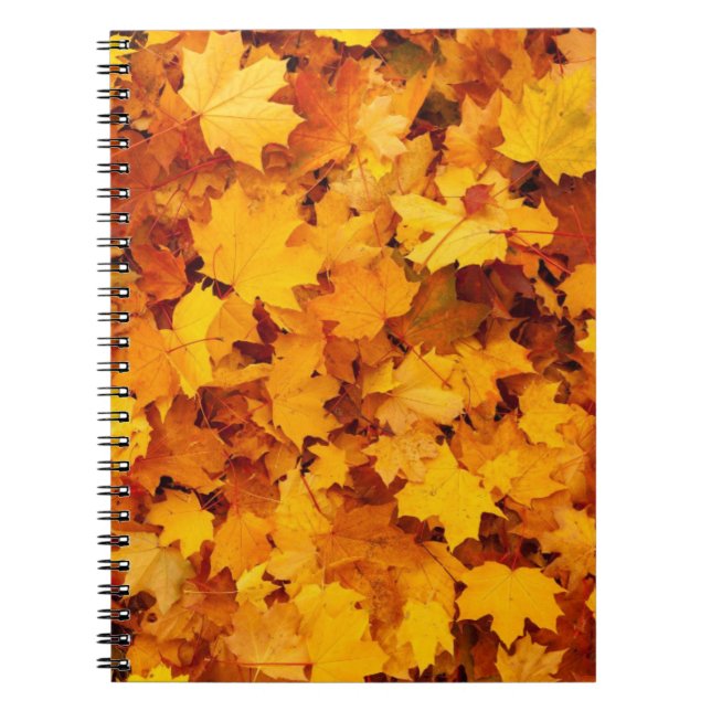 Carnet Feuilles d'automne (Devant)