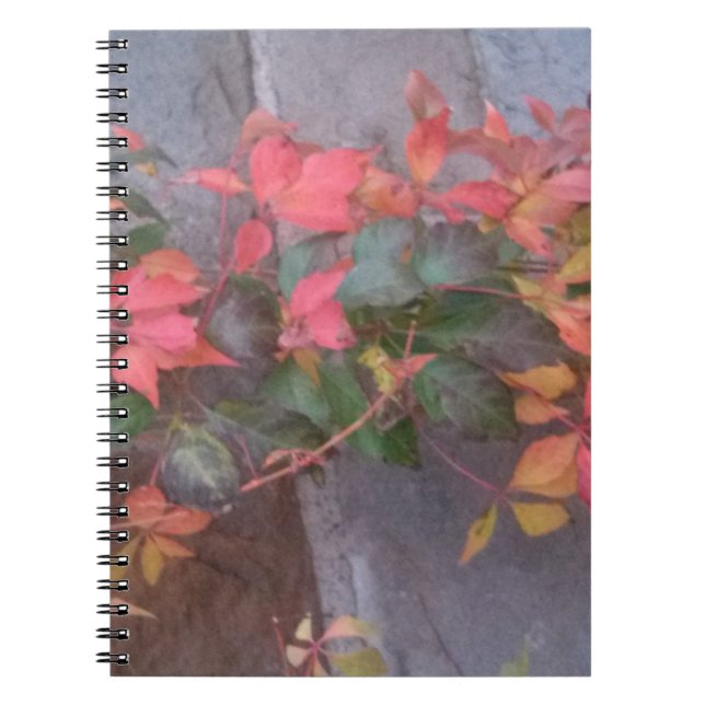 Carnet Feuilles d'automne (Devant)