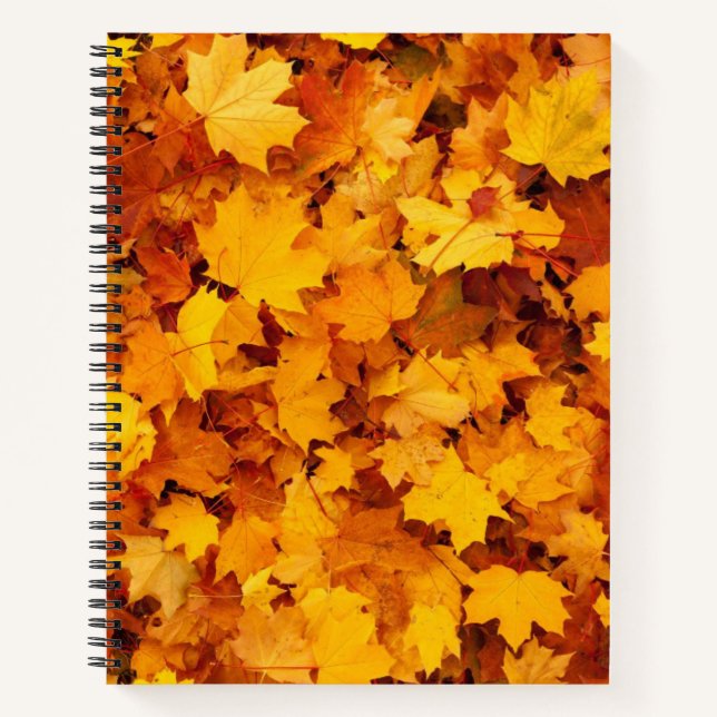 Carnet Feuilles d'automne (Devant)