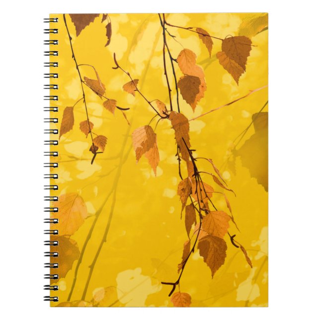 Carnet Feuilles d'automne 3 (Devant)