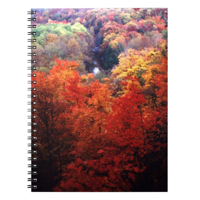Carnet Feuilles d'automne changeant de couleur (Devant)