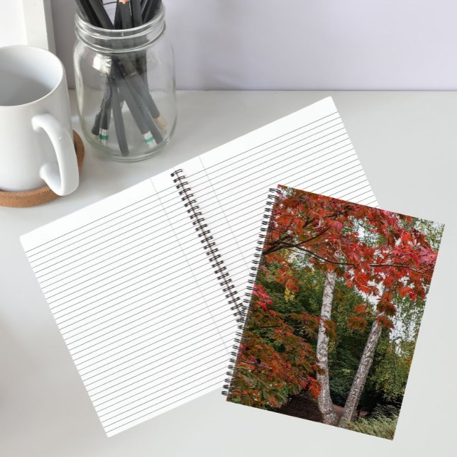 Carnet Feuilles d'automne colorées Photo (In Situ)