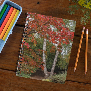 Carnet Feuilles d'automne colorées Photo