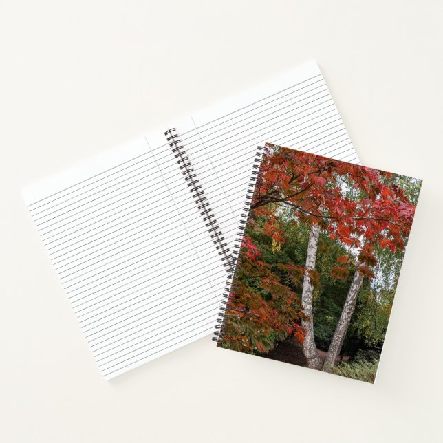 Carnet Feuilles d'automne colorées Photo (Intérieur)