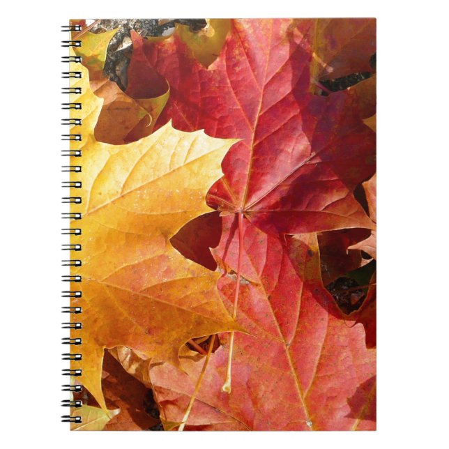 Carnet Feuilles d'automne - Etonnant! (Devant)