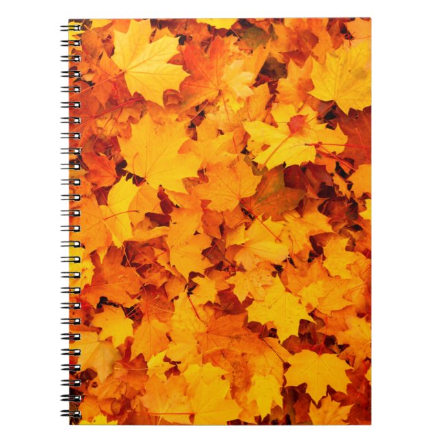 Carnet Feuilles d'automne feuillage feuilles d'automne (Devant)