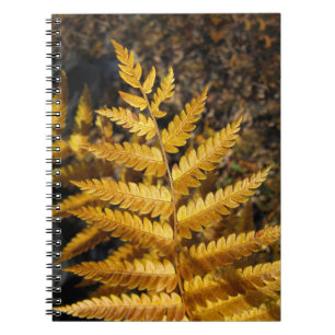 Carnet Feuilles d'automne Golden Ferme Photo
