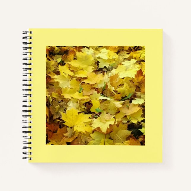 Carnet Feuilles d'automne jaunes (Devant)