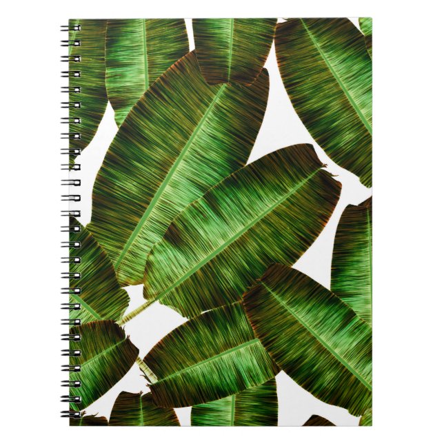 Carnet Feuilles de banane tropicale, flore sans soudure d (Devant)
