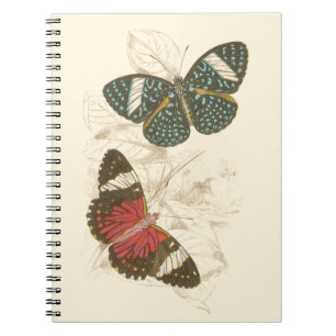 Carnet Feuilles de Sepia avec papillons colorés