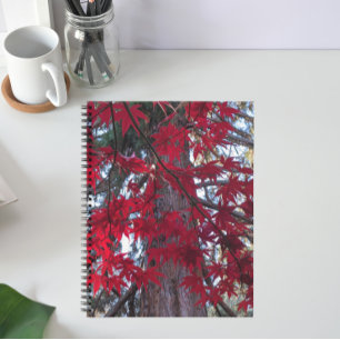 Carnet Feuilles d'érable rouge et Séquoia géant